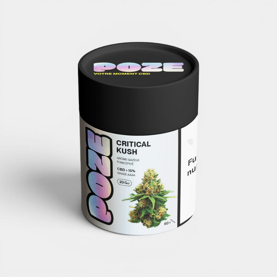 Critical Kush 20gr