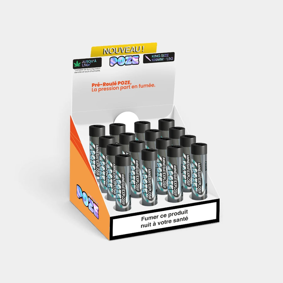 Amnésia EXPLOSIF (lot de 16)