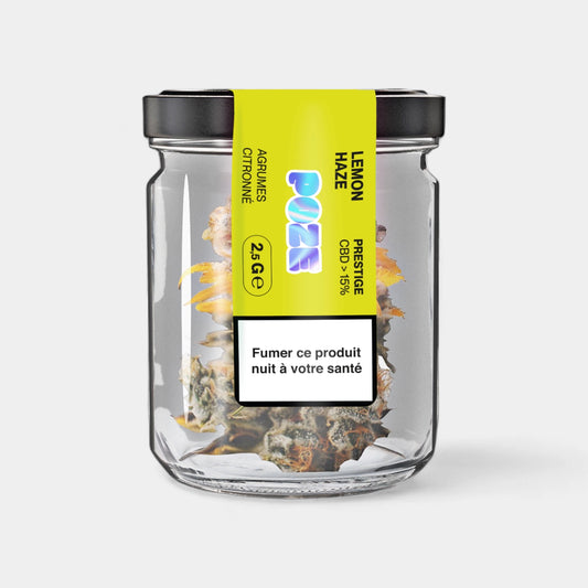 Lemon Haze en pot - 2,5gr (lot de 5)